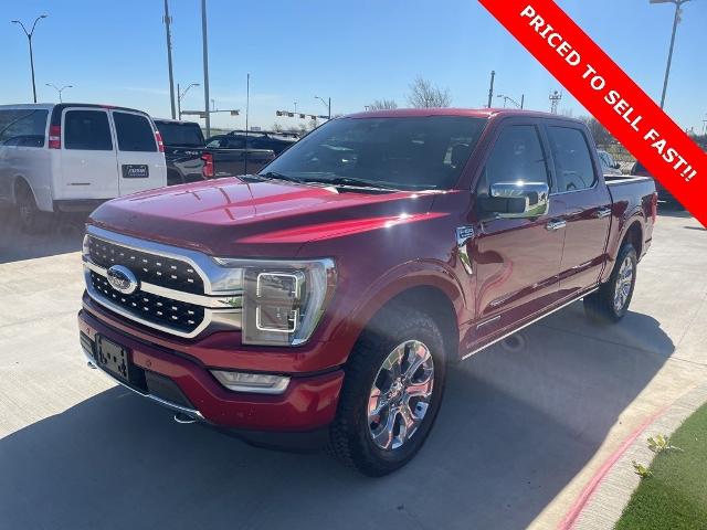 2022 Ford F-150 Vehicle Photo in San Antonio, TX 78230