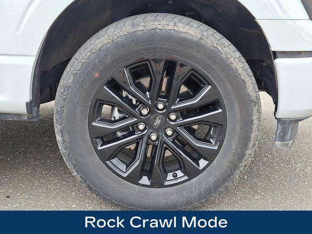 2024 Ford F-150 Vehicle Photo in DANBURY, CT 06810-5034