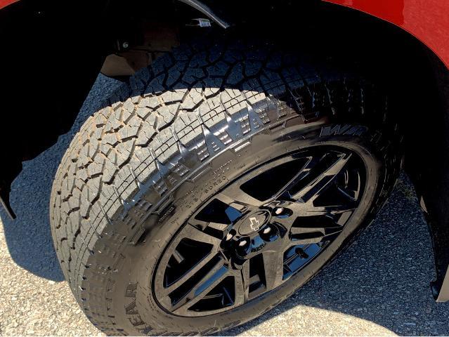 2025 Chevrolet Silverado 1500 Vehicle Photo in BEAUFORT, SC 29906-4218
