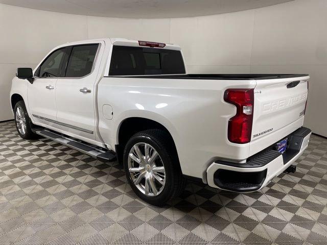 2025 Chevrolet Silverado 1500 Vehicle Photo in PHOENIX, AZ 85014-3381