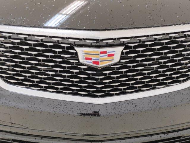 2024 Cadillac XT6 Vehicle Photo in PINEVILLE, NC 28134-8495