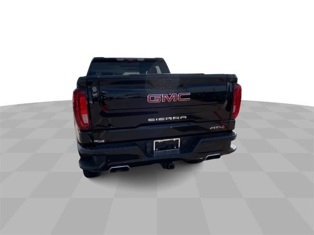 2022 GMC Sierra 1500 Vehicle Photo in Greenville, TX 75402