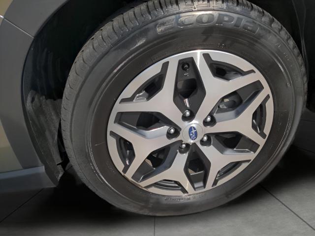 2023 Subaru Forester Vehicle Photo in Green Bay, WI 54304