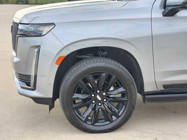2024 Cadillac Escalade ESV Vehicle Photo in DENTON, TX 76210-9321
