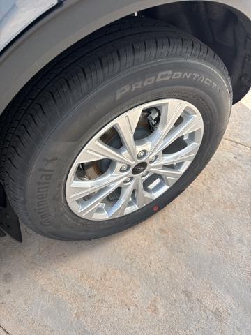 2025 Ford Escape Vehicle Photo in Winslow, AZ 86047-2439