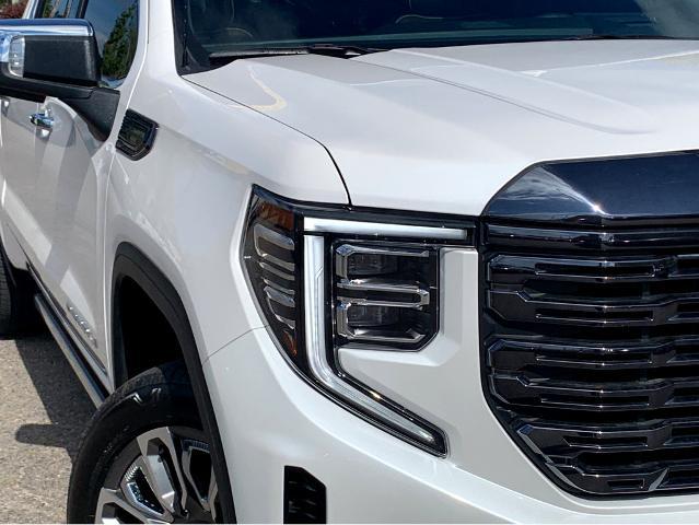 2024 GMC Sierra 1500 Vehicle Photo in BEAUFORT, SC 29906-4218