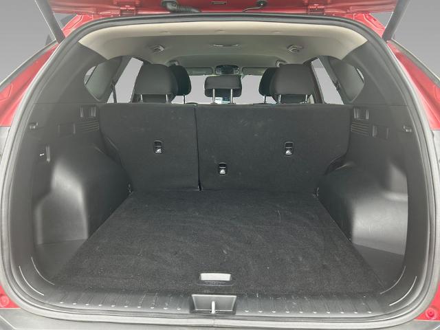 2024 Hyundai TUCSON Vehicle Photo in Statesboro, GA 30458
