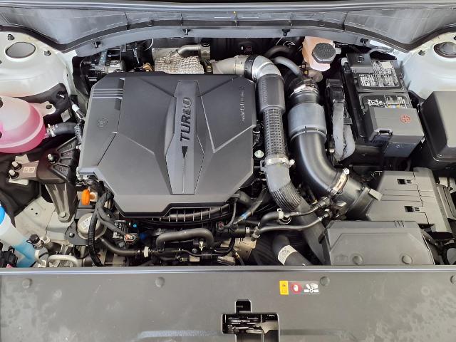 2023 Kia Sorento Vehicle Photo in Oshkosh, WI 54904