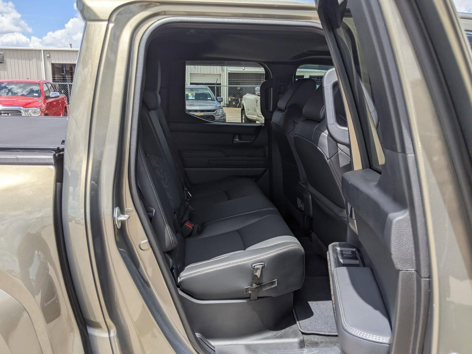 2024 Toyota Tacoma 4WD Vehicle Photo in Seguin, TX 78155