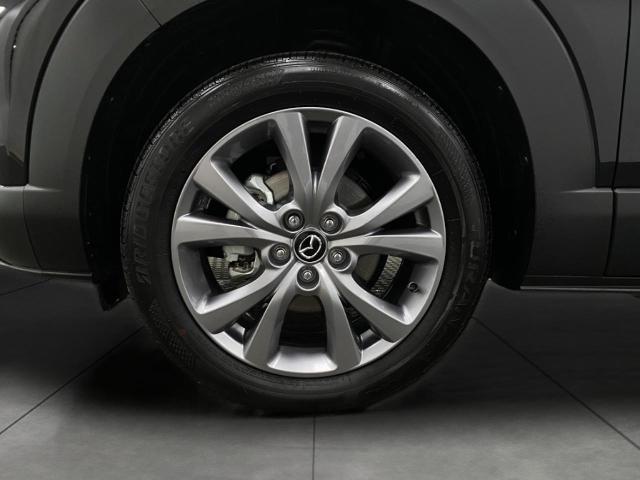 2024 Mazda CX-30 Vehicle Photo in Appleton, WI 54913