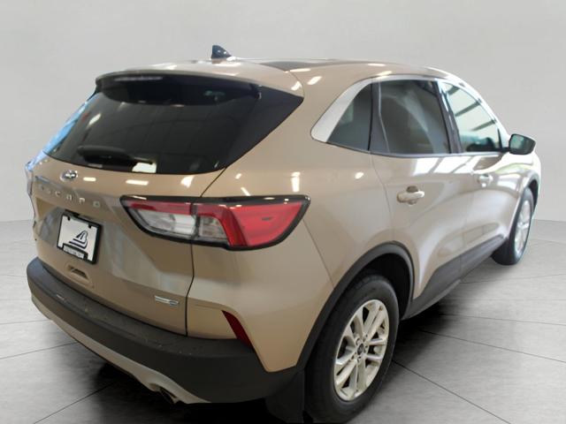 2020 Ford Escape Vehicle Photo in Green Bay, WI 54304