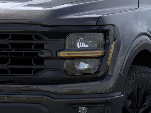 2025 Ford F-150 Vehicle Photo in Weatherford, TX 76087