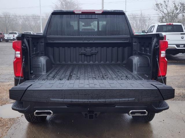 2025 Chevrolet Silverado 1500 Vehicle Photo in PARIS, TX 75460-2116