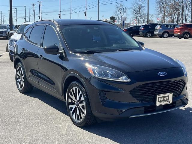 2020 Ford Escape Vehicle Photo in ALCOA, TN 37701-3235