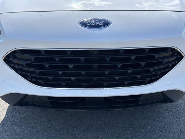 2021 Ford Escape Vehicle Photo in Charlotte, NC 28212