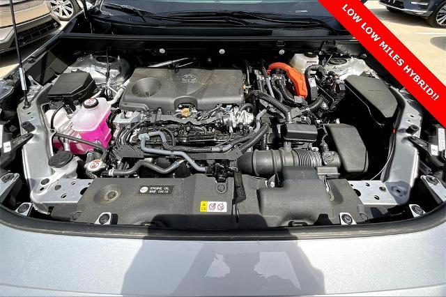 2024 Toyota RAV4 Vehicle Photo in Grapevine, TX 76051