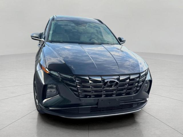 2023 Hyundai TUCSON Vehicle Photo in Appleton, WI 54913