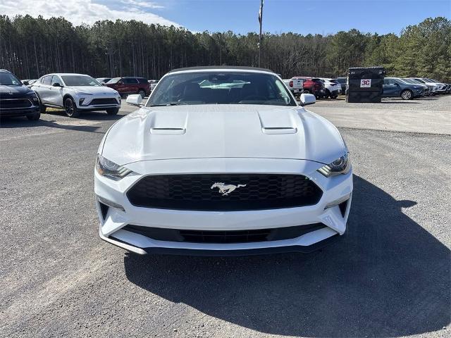 2022 Ford Mustang Vehicle Photo in ALBERTVILLE, AL 35950-0246