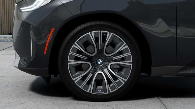 2025 BMW X3 30 xDrive Vehicle Photo in GRAPEVINE, TX 76051
