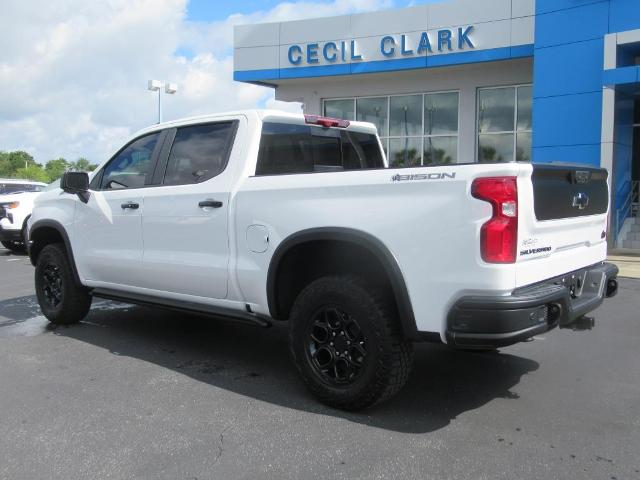 2024 Chevrolet Silverado 1500 Vehicle Photo in LEESBURG, FL 34788-4022