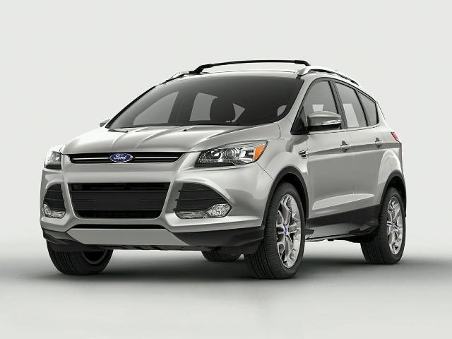 2014 Ford Escape Vehicle Photo in PUYALLUP, WA 98371-4149