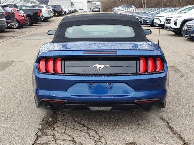 2022 Ford Mustang Vehicle Photo in MILFORD, OH 45150-1684