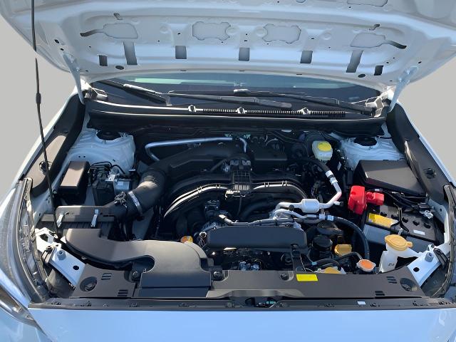 2025 Subaru Crosstrek Vehicle Photo in Oshkosh, WI 54904