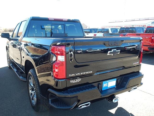 2025 Chevrolet Silverado 1500 Vehicle Photo in JASPER, GA 30143-8655