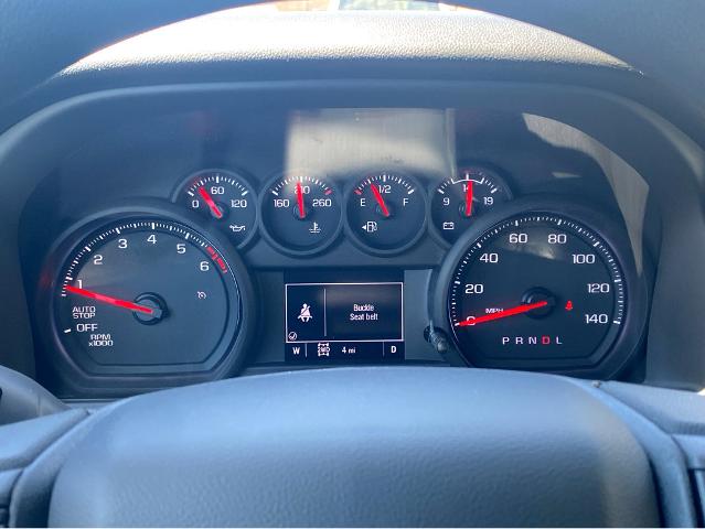 2025 Chevrolet Silverado 1500 Vehicle Photo in BEAUFORT, SC 29906-4218