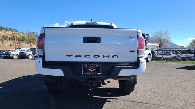 2023 Toyota Tacoma 4WD Vehicle Photo in FLAGSTAFF, AZ 86001-6214