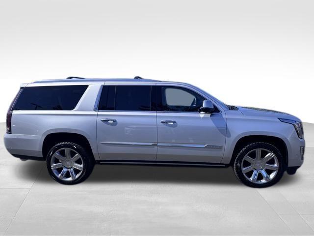 2020 Cadillac Escalade ESV Vehicle Photo in DELRAY BEACH, FL 33483-3294