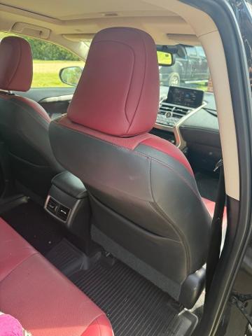 2020 Lexus NX 300h Vehicle Photo in San Antonio, TX 78230