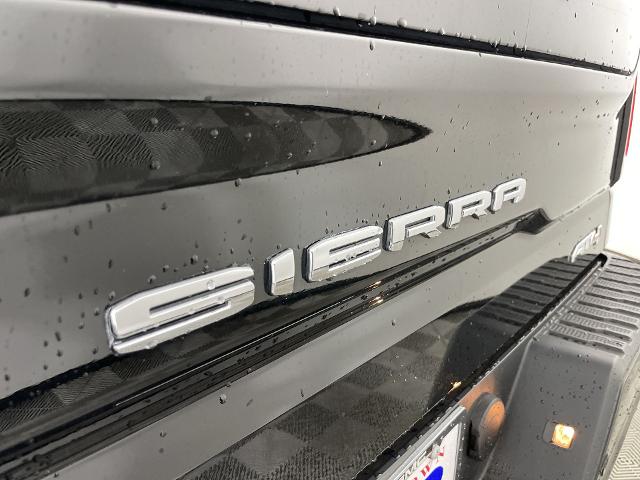 2019 GMC Sierra 1500 Vehicle Photo in GILBERT, AZ 85297-0402