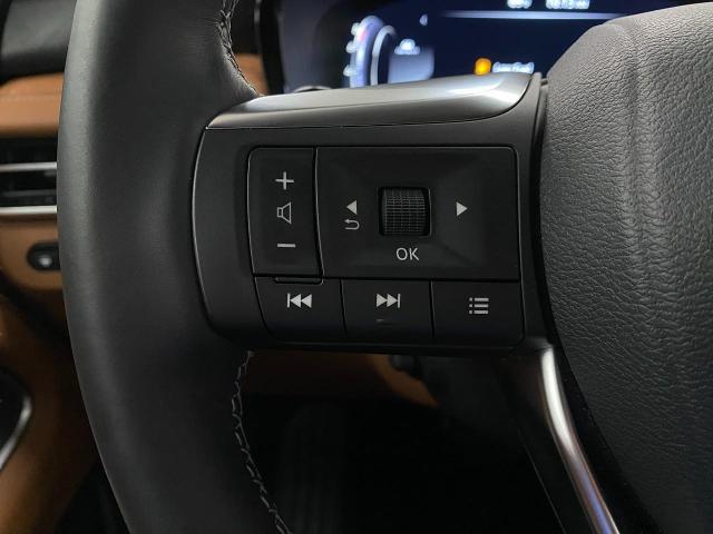 2024 INFINITI QX60 Vehicle Photo in Appleton, WI 54913