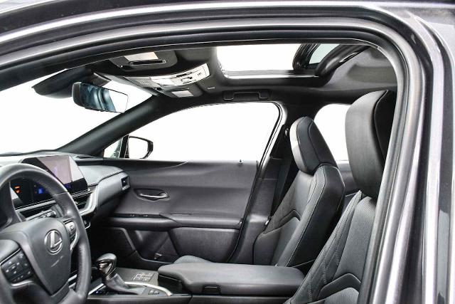 2024 Lexus UX 250h Vehicle Photo in DALLAS, TX 75235