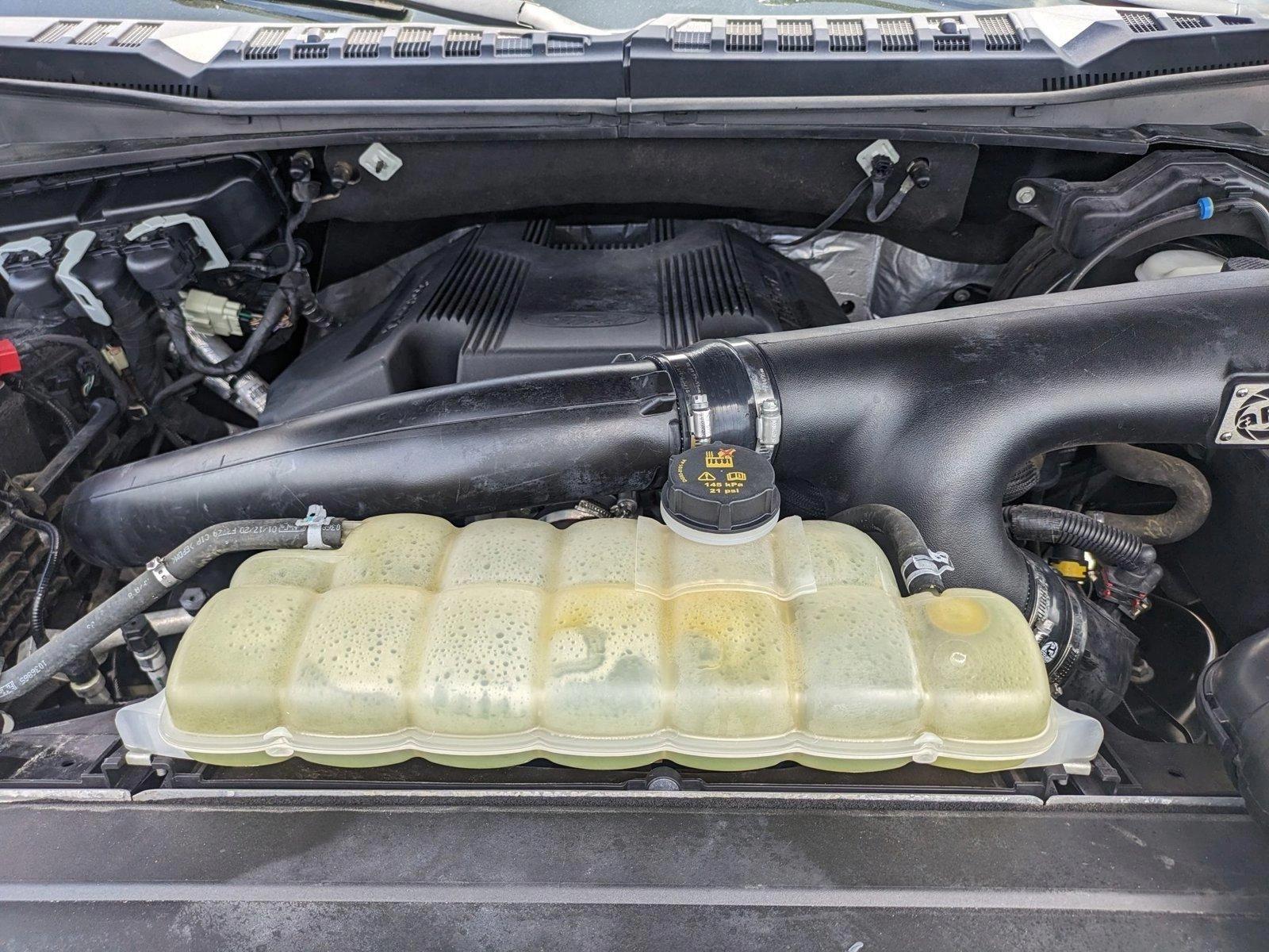 2020 Ford F-150 Vehicle Photo in Bradenton, FL 34207