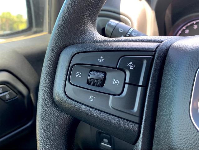 2025 GMC Sierra 1500 Vehicle Photo in BEAUFORT, SC 29906-4218