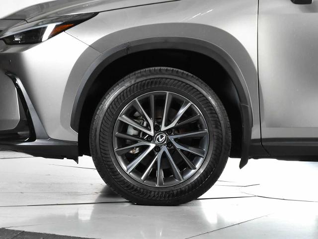 2024 Lexus NX 350 Vehicle Photo in DALLAS, TX 75235