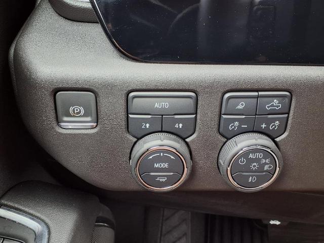 2024 Chevrolet Silverado 1500 Vehicle Photo in EMPORIA, VA 23847-1235
