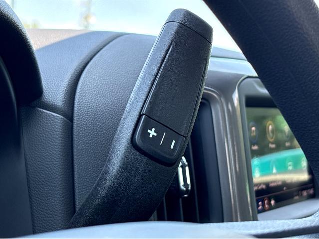 2025 Chevrolet Silverado 1500 Vehicle Photo in BEAUFORT, SC 29906-4218
