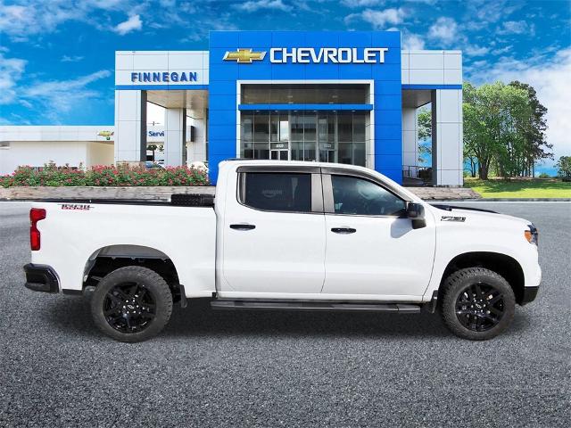 2023 Chevrolet Silverado 1500 Vehicle Photo in ROSENBERG, TX 77471-5675