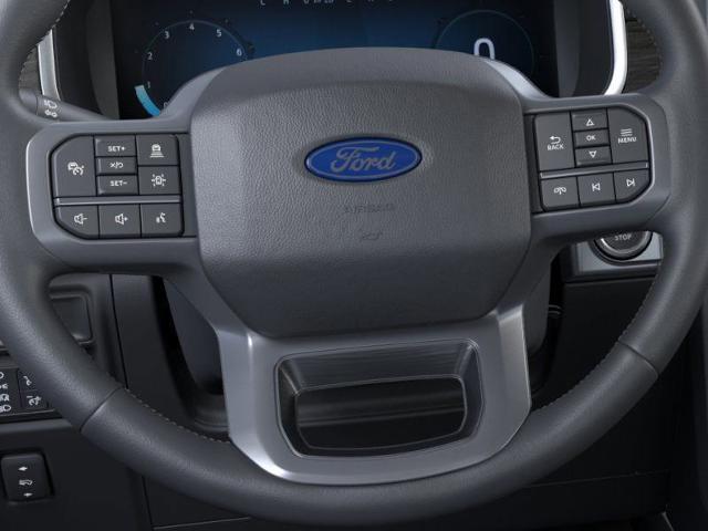 2025 Ford F-150 Vehicle Photo in Weatherford, TX 76087
