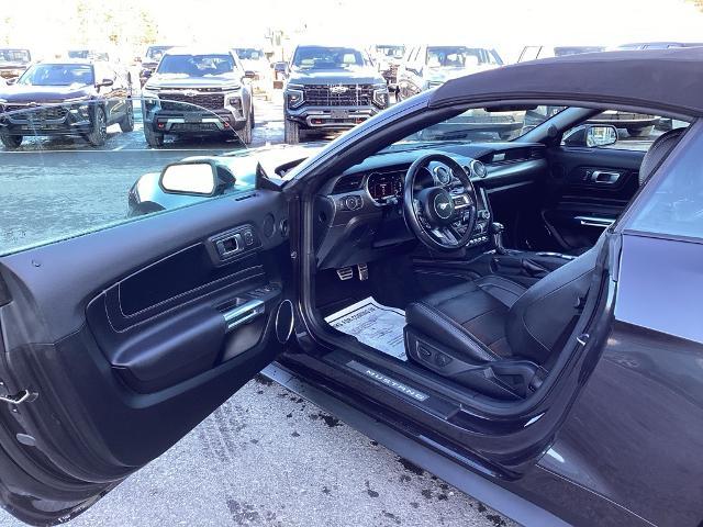 2022 Ford Mustang Vehicle Photo in Gardner, MA 01440