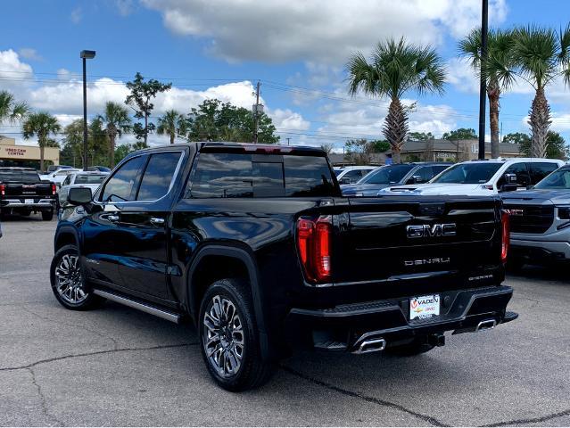 2025 GMC Sierra 1500 Vehicle Photo in BEAUFORT, SC 29906-4218