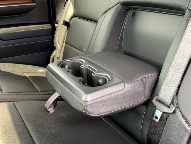 2025 GMC Sierra 1500 Vehicle Photo in BEAUFORT, SC 29906-4218