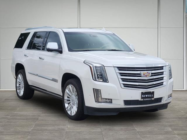 2020 Cadillac Escalade Vehicle Photo in HOUSTON, TX 77079