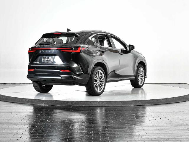 2022 Lexus NX 350 Vehicle Photo in DALLAS, TX 75235