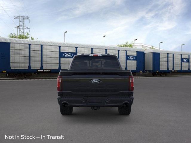 2025 Ford F-150 Vehicle Photo in Weatherford, TX 76087