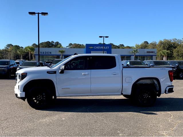 2025 GMC Sierra 1500 Vehicle Photo in BEAUFORT, SC 29906-4218