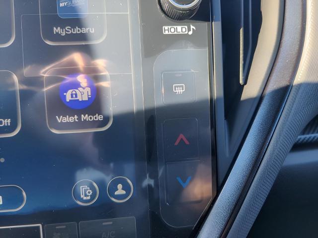 2025 Subaru Crosstrek Vehicle Photo in Green Bay, WI 54304